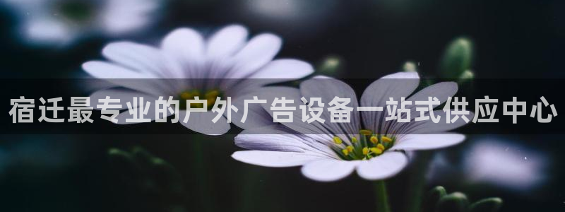 杏宇平台代理怎么赚钱的：宿迁最专业的户外广告设备一站式供应中心