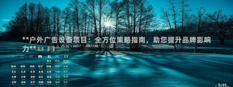 杏宇平台怎么样赚钱：**户外广告设备项目：全方位策略指南，助您提升品牌影响
力**