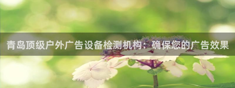 杏宇平台客服：青岛顶级户外广告设备检测机构：确保您的广告效果