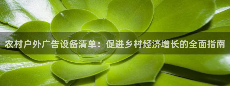 杏宇平台代理怎么样啊：农村户外广告设备清单：促进乡村经济增长的全面指南
