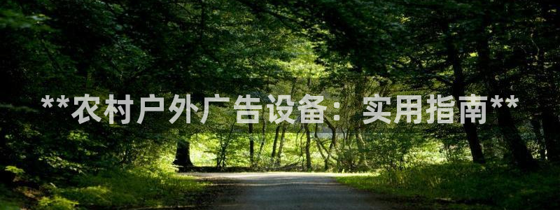 杏宇平台注册地址：**农村户外广告设备：实用指南**