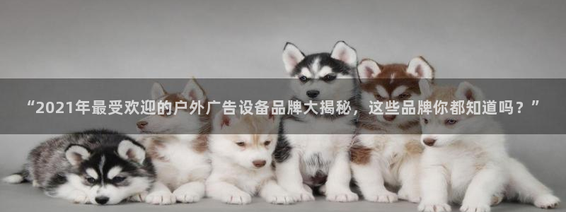 杏宇平台招商怎么样：“2021年最受欢迎的户外广告设备品牌大揭秘，这些品牌你都知道吗？”