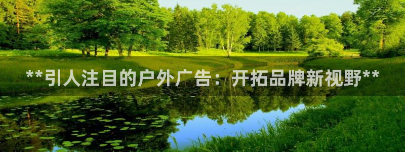 杏宇平台登录步骤是什么：**引人注目的户外广告：开拓品牌新视野**