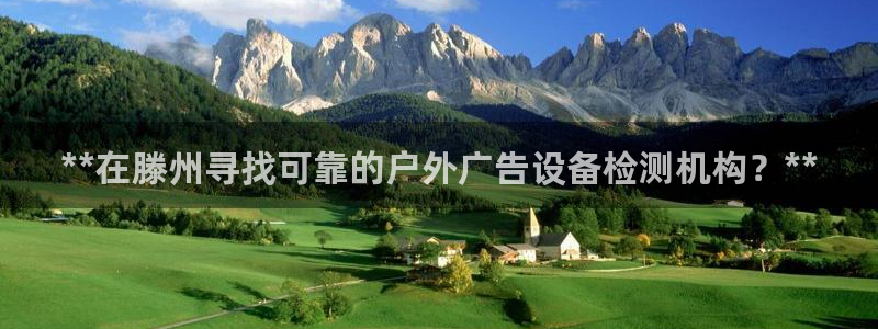 杏宇官方平台官网入口：**在滕州寻找可靠的户外广告设备检测机构？**