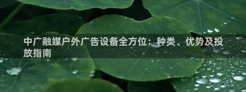 杏宇平台代理怎么赚钱的：中广融媒户外广告设备全方位：种类、优势及投
放指南