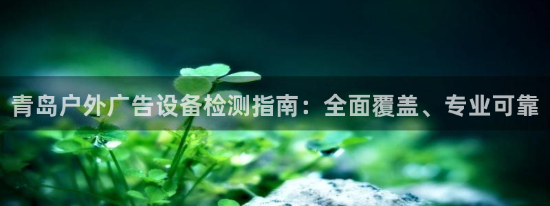 杏宇平台登录步骤图：青岛户外广告设备检测指南：全面覆盖、专业可靠