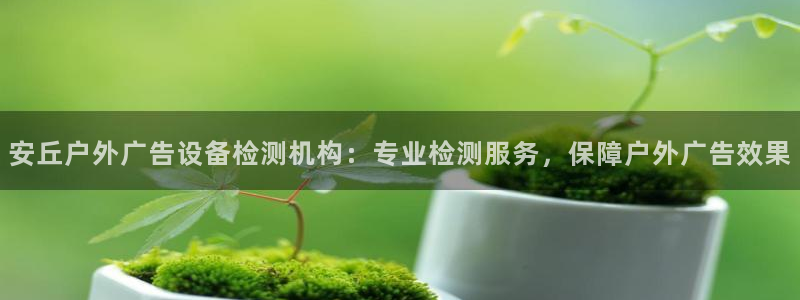 杏宇平台注册地址在哪里：安丘户外广告设备检测机构：专业检测服务，保障户外广告效果