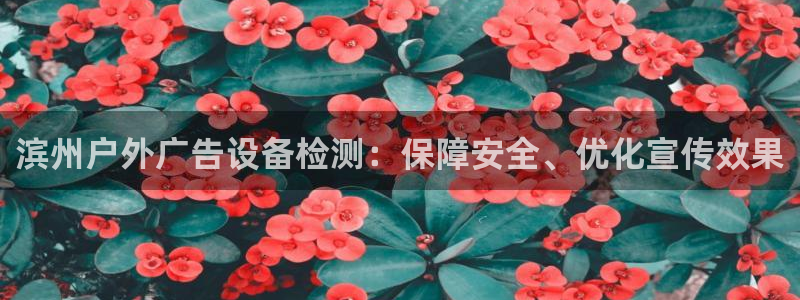 杏宇平台代理怎么赚钱：滨州户外广告设备检测：保障安全、优化宣传效果