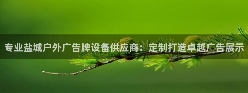 杏宇平台提现为什么这么久呢：专业盐城户外广告牌设备供应商：定制打造卓越广告展示