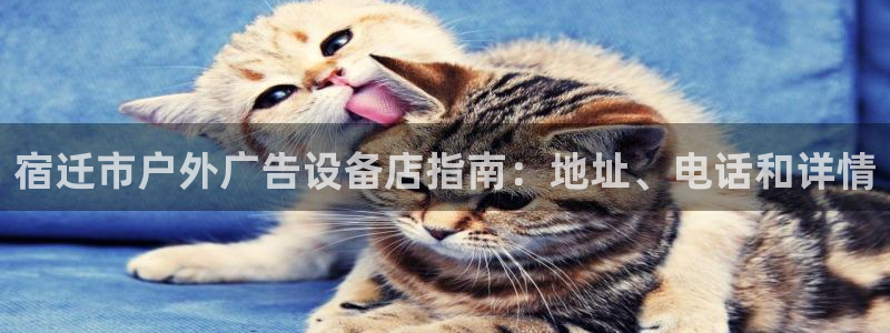 杏宇平台官网注册：宿迁市户外广告设备店指南：地址、电话和详情