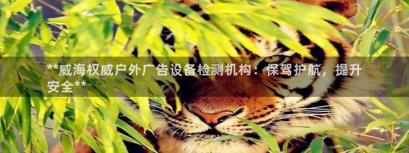 杏宇平台代理多少钱