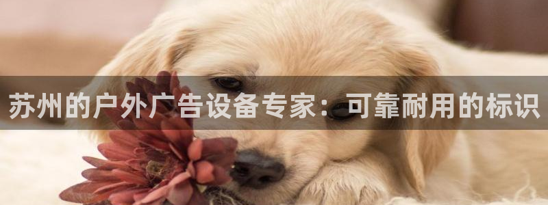 杏宇平台怎么样：苏州的户外广告设备专家：
