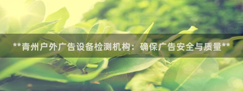 杏宇平台登录步骤图：**青州户外广告设备检测机构：确保广告安全与质量**