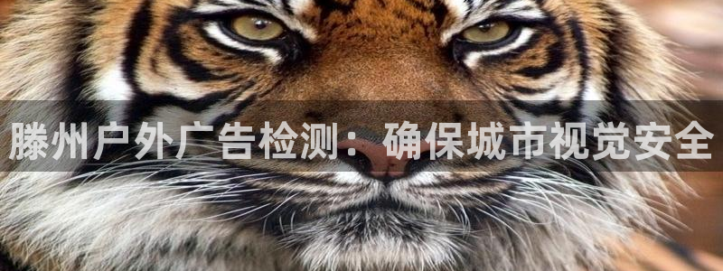 杏宇平台登录方法：滕州户外广告检测：确保城市视觉安全