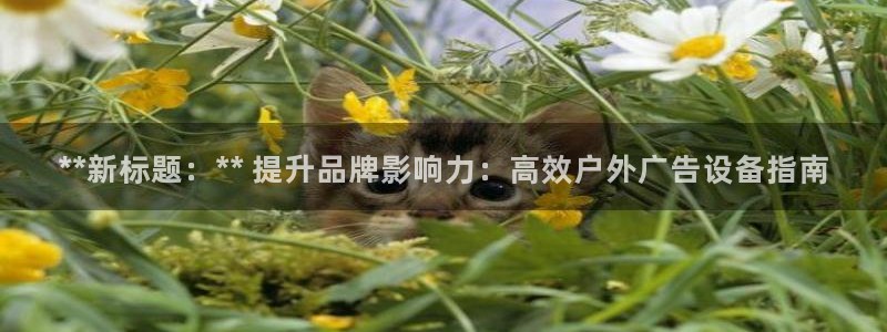 杏宇平台怎么样：**新标题：** 提升品牌影响力：高效户外广告设备指南