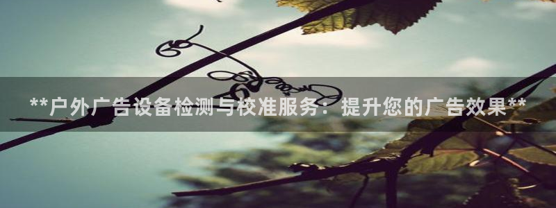 杏宇平台是什么：**户外广告设备检测与校准服务：提升您的广告效果**