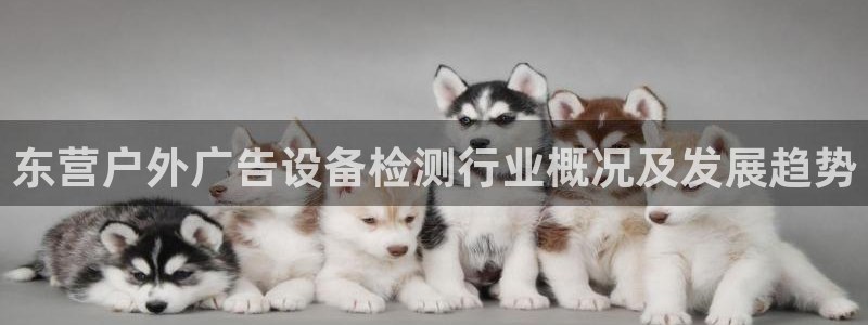 杏宇平台代理怎么样可靠吗：东营户外广告设备检测行业概况及发展趋势