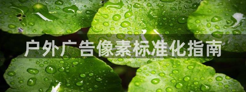 杏宇平台注册登录：户外广告像素标准化指南
