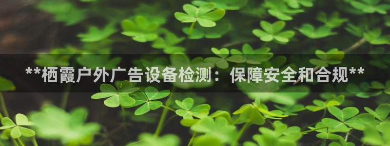 杏宇平台怎么样知乎：**栖霞户外广告设备检测：保障安全和合规**