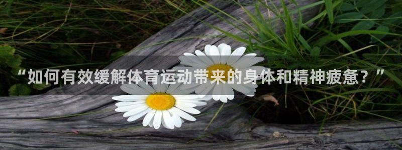 ug环球官网