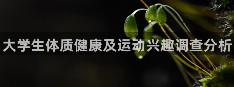 ug环球官网