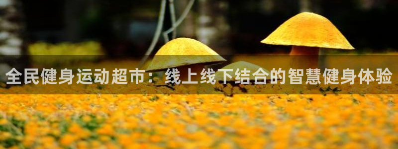 ug环球官网