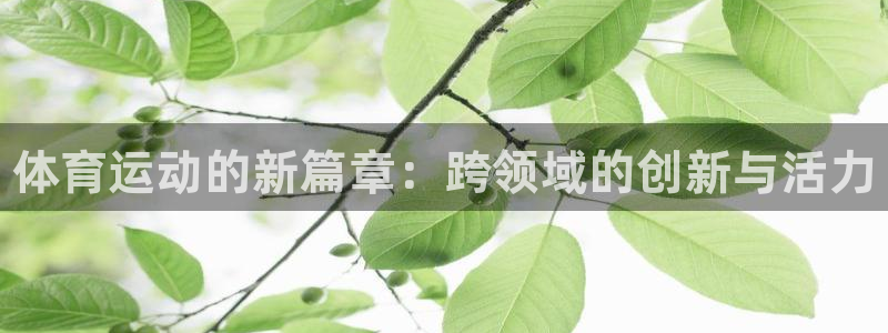 ug环球官网