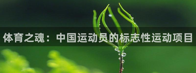 ug环球官网注册