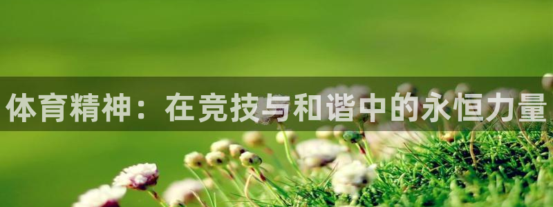 ug环球官网