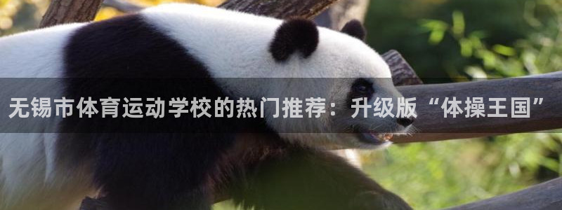 ug环球官网注册