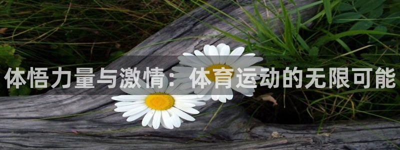 ug环球官网注册