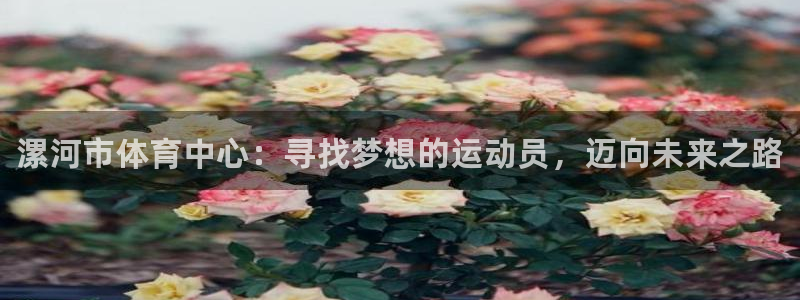 ug环球官网