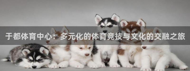 ug环球官网注册