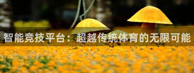 菲律宾ug环球官网