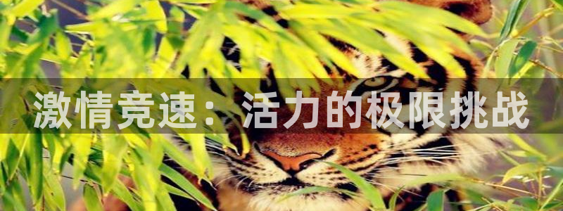 ug环球官网登录入口