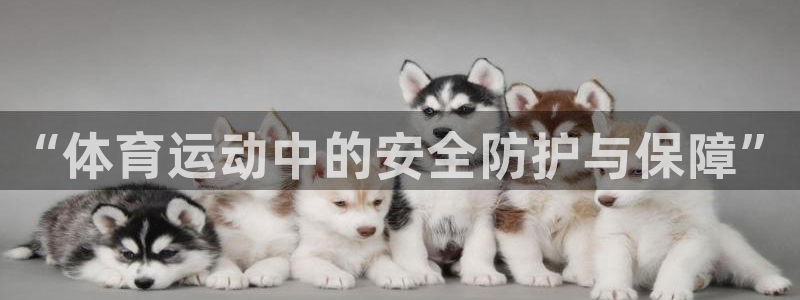 ug环球官网注册
