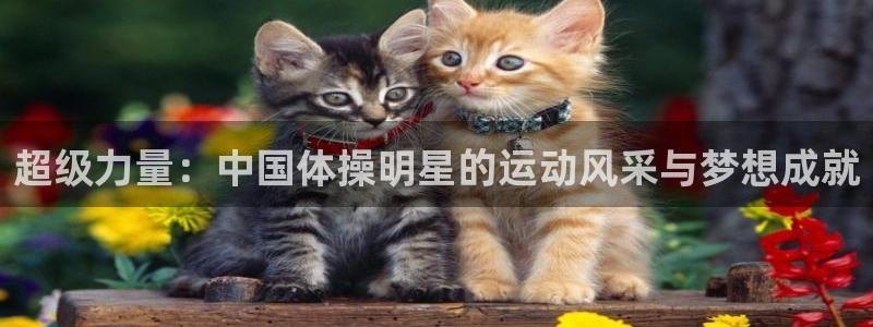 ug环球官网登录入口