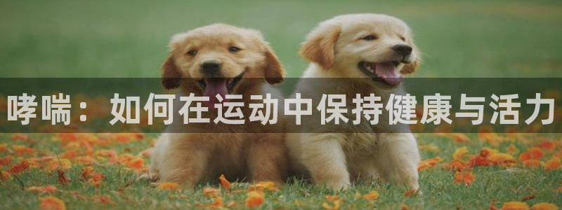 ug环球官网注册
